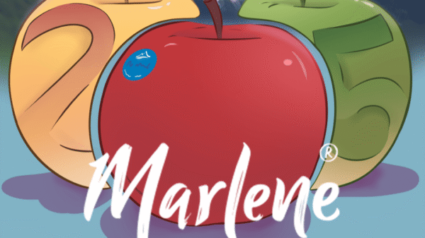 Contest Marlene, más de mil doscientas obras procedentes de España