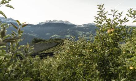 VOG socio de Sustainapple, la estrategia sobre sostenibilidad del consorcio de la manzana del Alto Adige