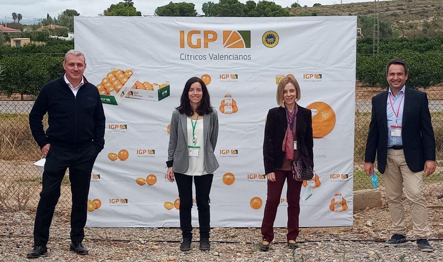 Ratificada la hegemonía en calidad de Cítricos Valencianos