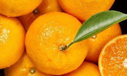 ¡A disfrutar! Orri, la mandarina premium, estará en los mercados los meses de febrero a junio