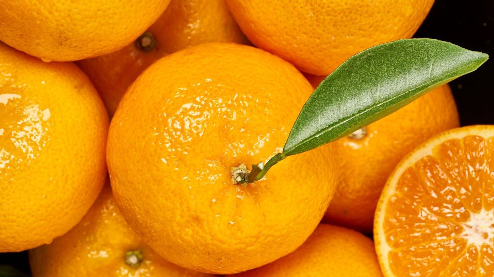 ¡A disfrutar! Orri, la mandarina premium, estará en los mercados los meses de febrero a junio