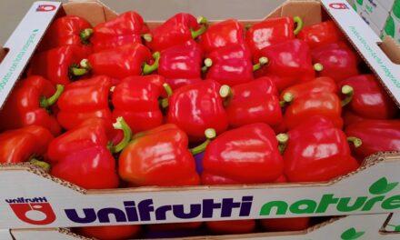 Unifrutti expands into vegetable business