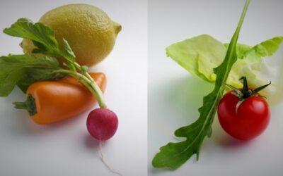 Alimentos globales y sostenibles