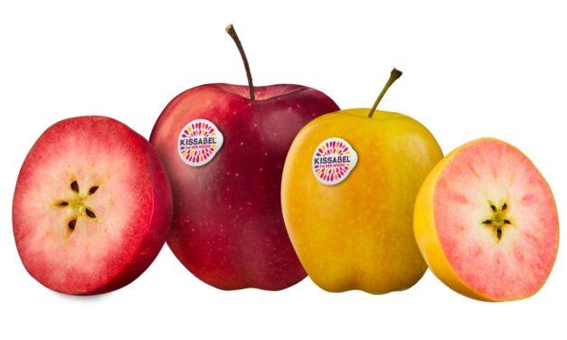 Para manzanas Kissabel®… la demanda supera a la oferta