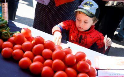 Almería celebra la Semana del Tomate