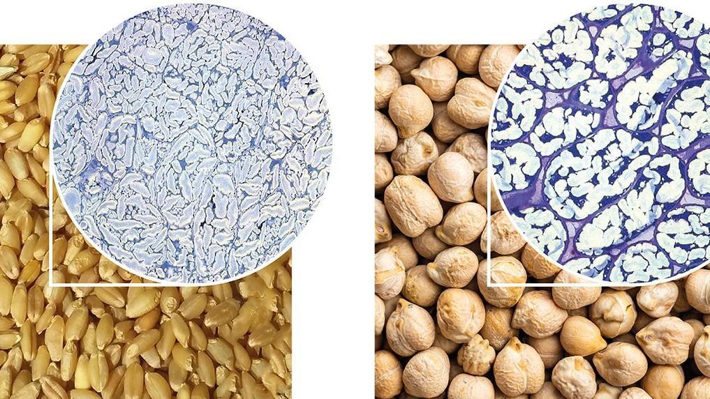 How physical structure of dietary fibre underpins its benefits to health