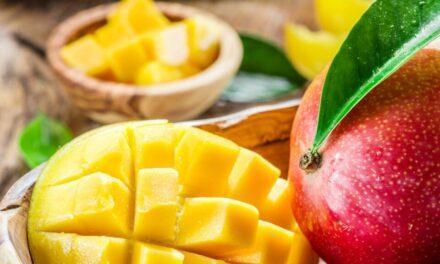 El Mango: “La Super Fruta de Moda” que cautiva a todos los consumidores