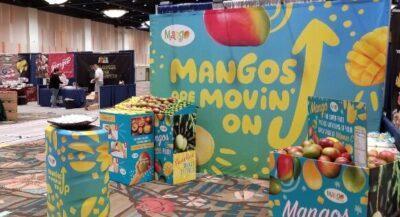 El mango “conquista y enamora” al sector minorista de Estados Unidos
