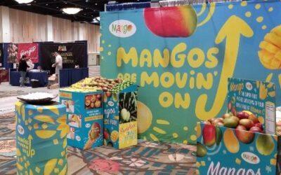 El mango “conquista y enamora” al sector minorista de Estados Unidos