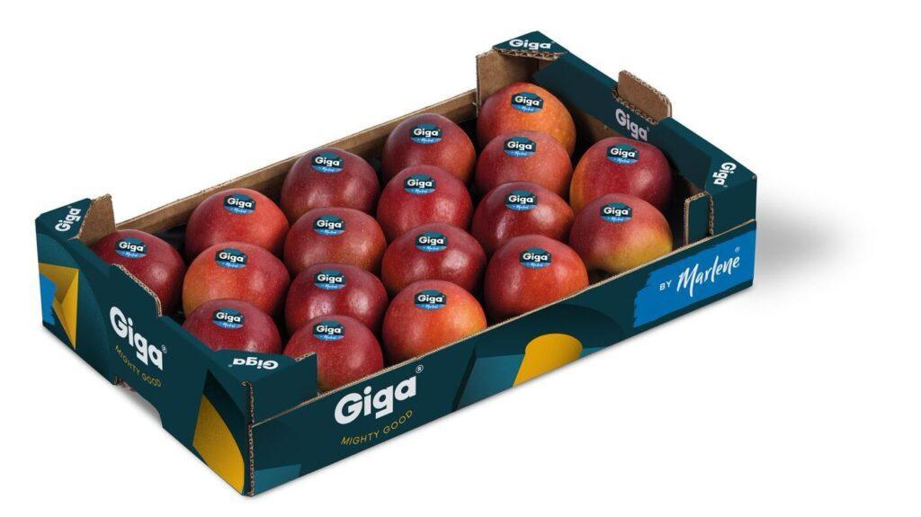 La manzana Giga, positivos los primeros tests internacionales