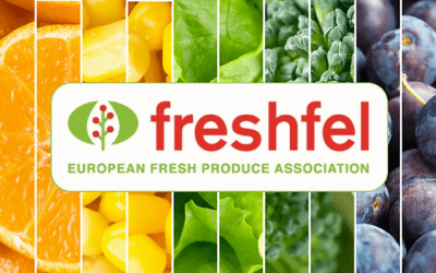 Freshfel Europe celebrates 20th anniversary