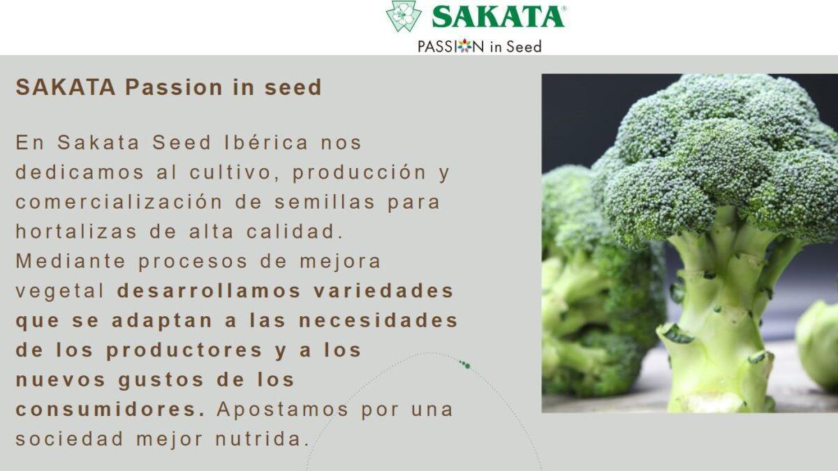 En la nueva web de Sakata hay novedades del proyecto educativo de la Pandi