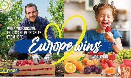 La promoción de las frutas y hortalizas ganará eficiencia en la UE