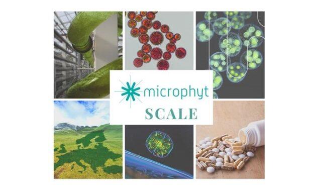 SCALE, the world’s first fully-integrated microalgae biorefinery