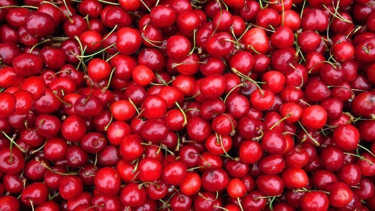 The VOG CONSORTIUM diversifies its range with cherries