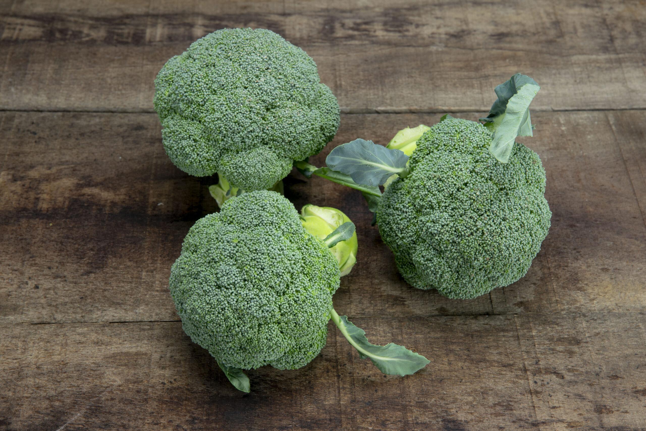 Sakata vuelve a revolucionar el cultivo del brócoli con la veriedad Ulysses
