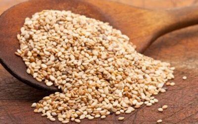 El sésamo, una semilla de uso ancestral, deliciosa y nutritiva