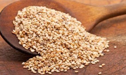 El sésamo, una semilla de uso ancestral, deliciosa y nutritiva