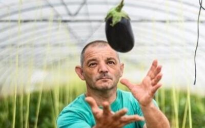 Verduras ecológicas de temporada con huella social