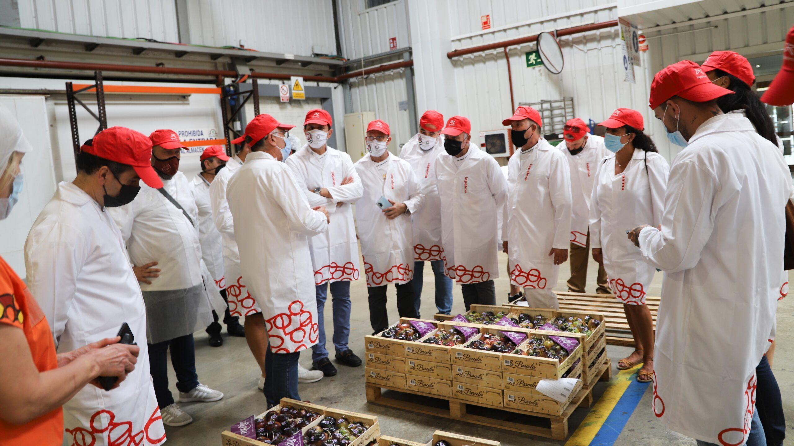 La Palma y la restauración siempre en línea.