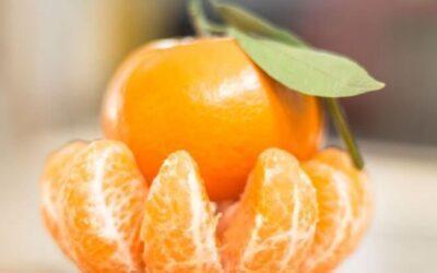 Las mandarinas australes conquistan al mundo gracias a un recambio varietal