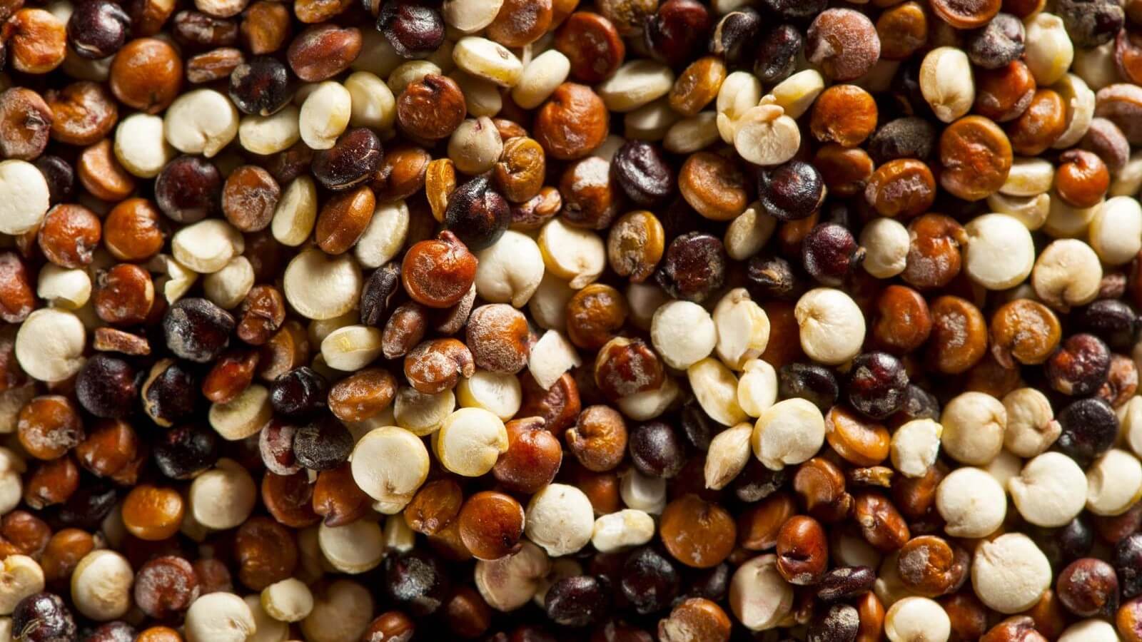 La quinoa, una de las pocas fuentes vegetales de proteína completa
