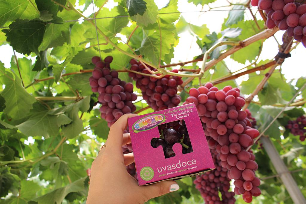 Uvasdoce y sus novedades en Fruit Attraction 2021