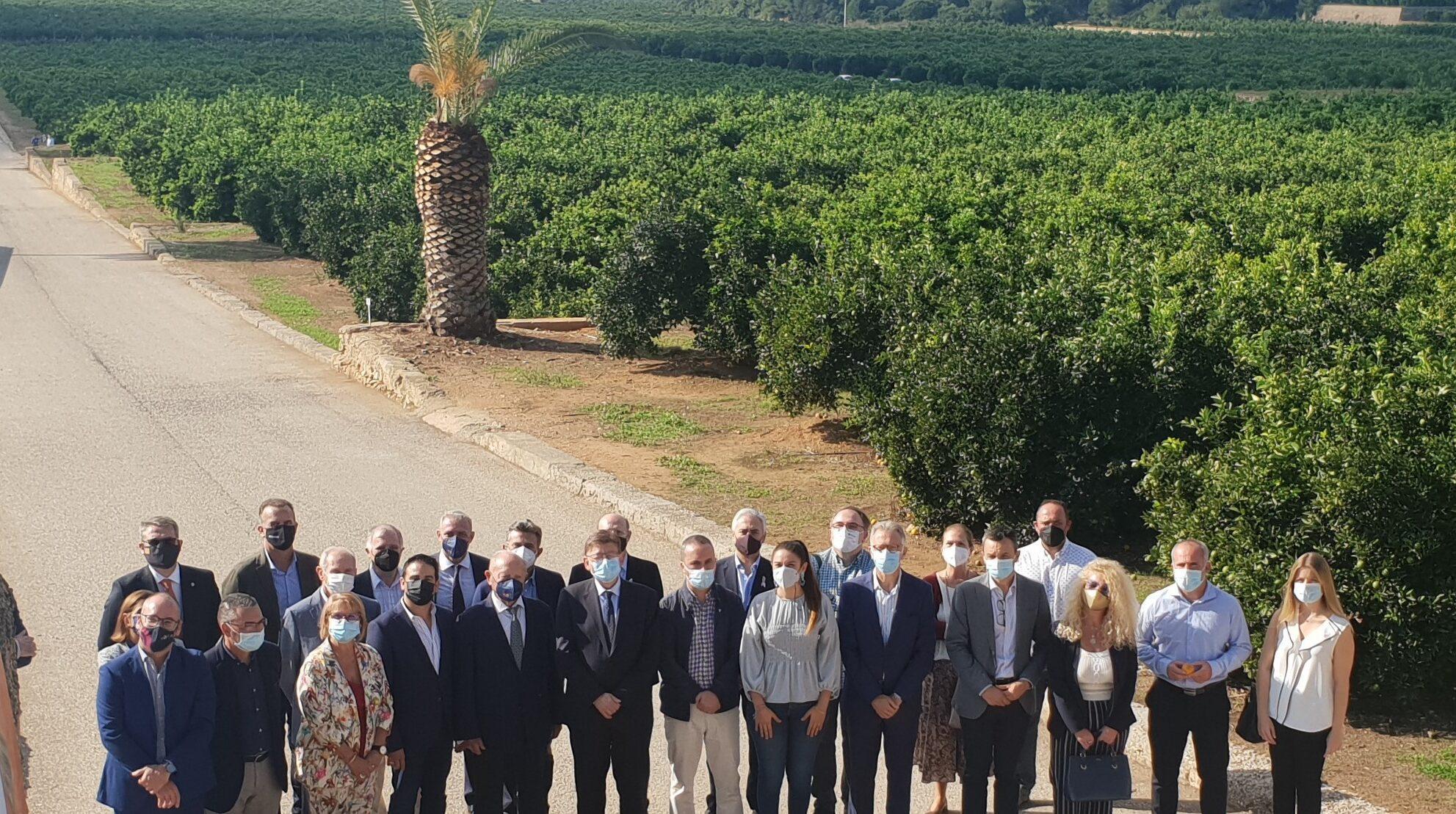 El Primer Corte de Cítricos Valencianos para la campaña 2021-22