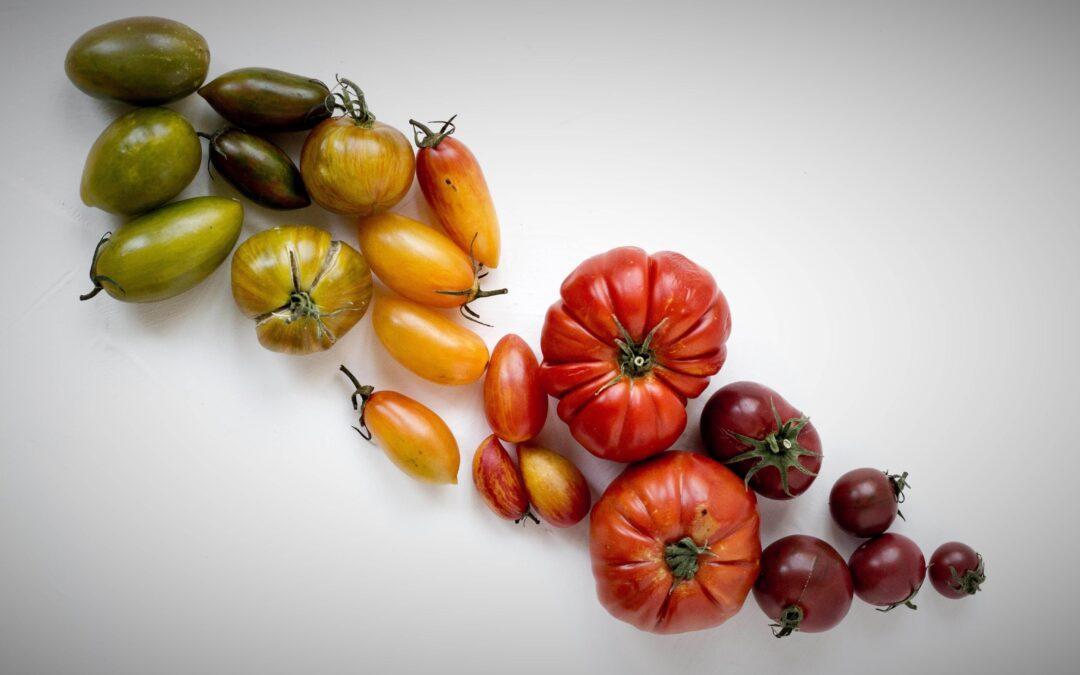 El tomate, una fruta atractiva, sabrosa y saludable