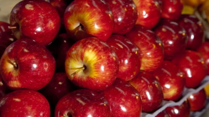 En manzanas australes, las palabras mágicas son “Gala” y “Asia”