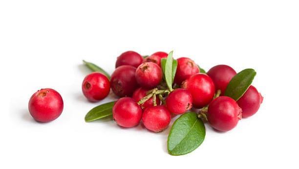 Los cranberries o arándanos rojos, una rica fuente de compuestos bioactivos