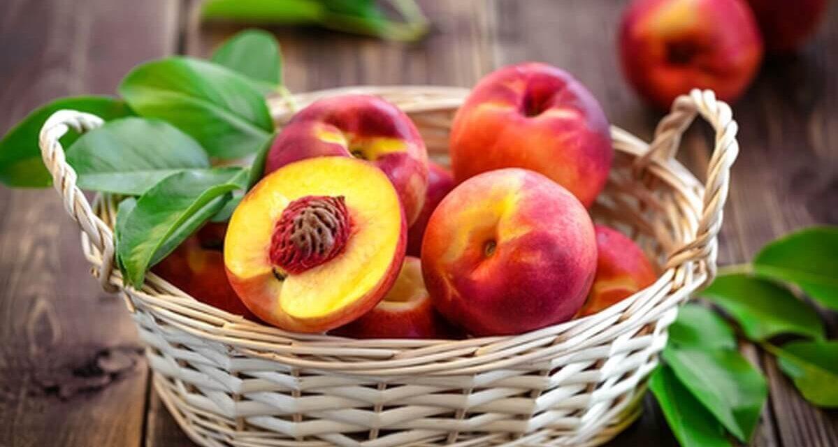 La nectarina, una fruta apreciada en todo el mundo