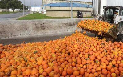 El zumo de naranjas en mal estado… para detectar problemas médicos futuros