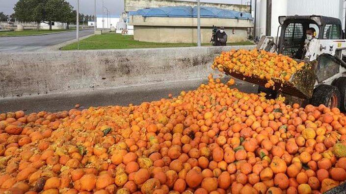 El zumo de naranjas en mal estado… para detectar problemas médicos futuros
