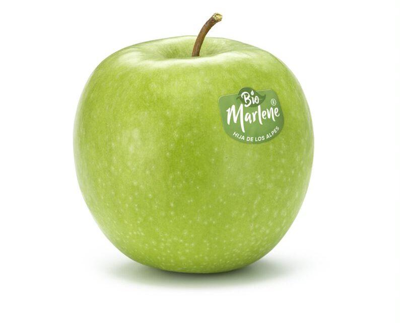 Organic Apples in the Arab Emirates