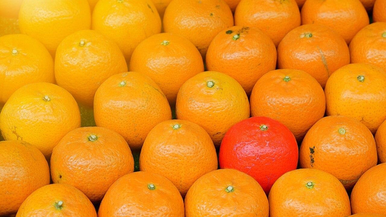 La innovación en el sector agroalimentario, un documento del MAPA