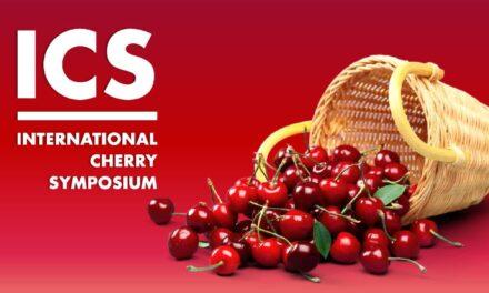 El vídeo de presentación del Cherry Symposium del Macfrut