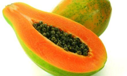 La papaya, cada vez menos exótica, es una fruta sabrosa y nutritiva