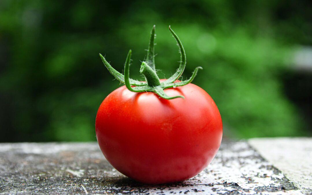 ¿porqué es tan bueno el tomate?