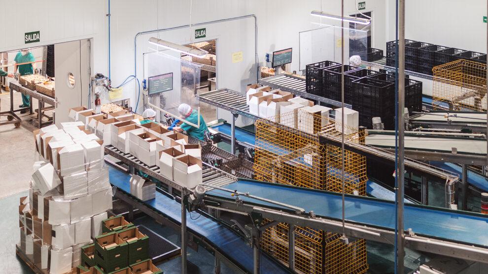 Huercasa refuerza su cadena de suministro