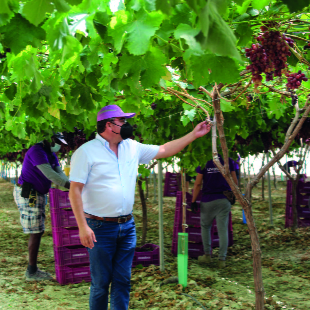 Uvasdoce en Fruit Logística 2022