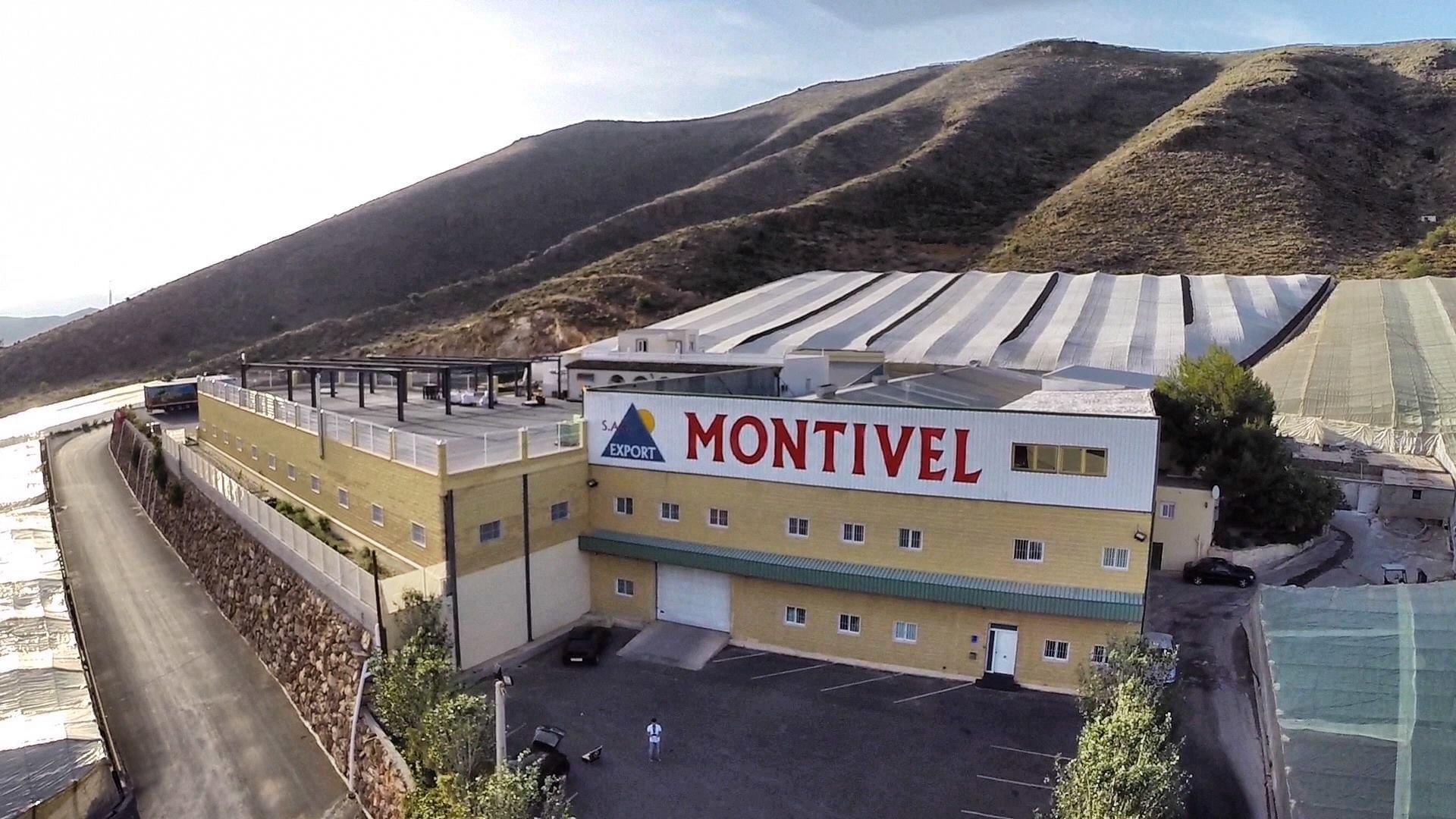 Anecoop, líder en exportación hortofrutícola español