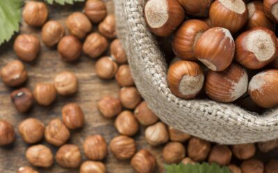 Las avellanas, un regalo desde Turquía para el corazón