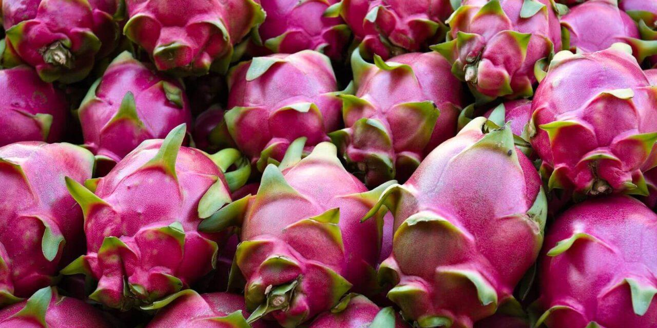 La pitahaya rosa, rica en compuestos antioxidantes