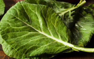 Las hojas de col, un valor en las cocinas gallega, portuguesa y brasileña