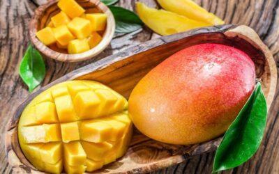 El mango, rey de las frutas tropicales, con sabor y fragancia atractivos, posee un alto valor nutricional