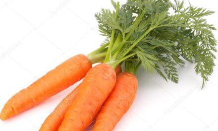 Las zanahorias, buenas por su raíz y también por sus hojas