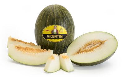 Vicente Peris inicia la campaña nacional de su melón gourmet