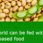 Plant based foods … enough protein to feed the world?