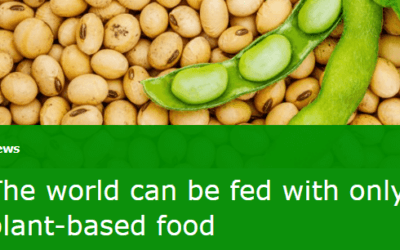 Las proteínas de origen vegetal…, ¿son suficientes para alimentar el mundo?